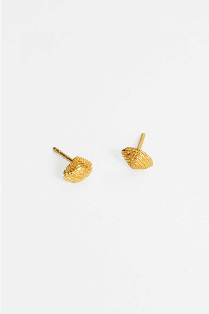 Clam Shell Stud Earring in Gold Vermeil