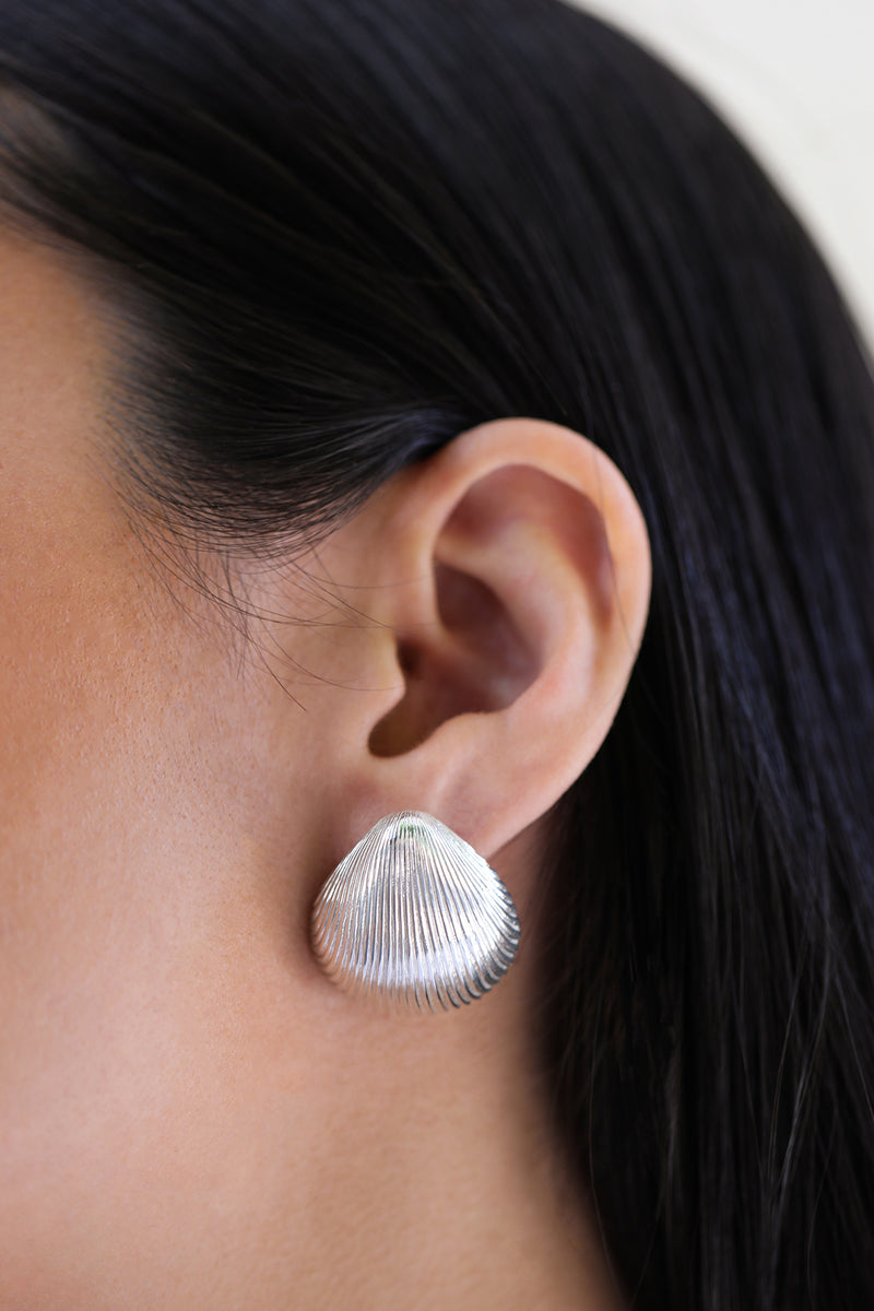 Shell Earrings, Sterling Silver